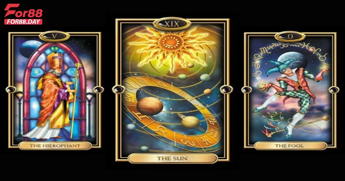 Trải nghiệm và phản hồi