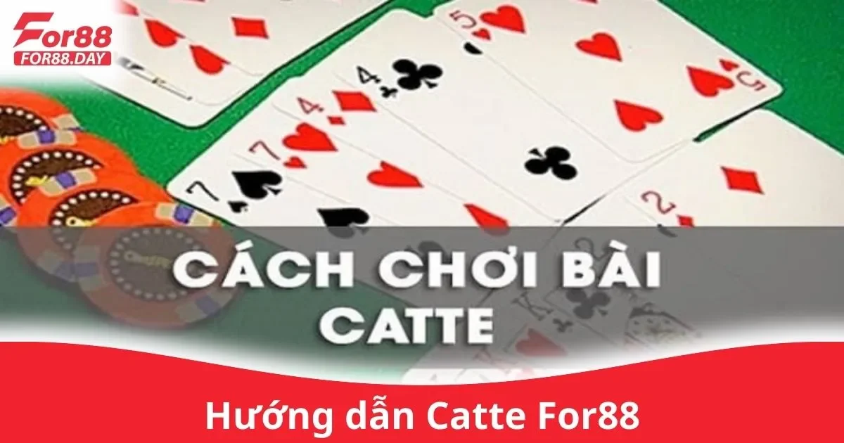 Cách Chơi Catte Trên For88 Dễ Dàng