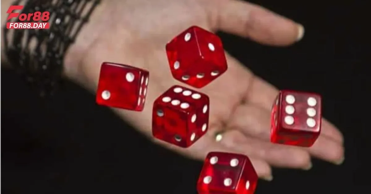 Cách Đặt Cược Xí Ngầu Hiệu Quả Trên For88